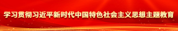 日本操小嫩逼视频学习贯彻习近平新时代中国特色社会主义思想主题教育